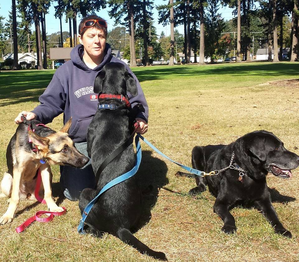 12140830_10153526287457906_3345065796318565069_n